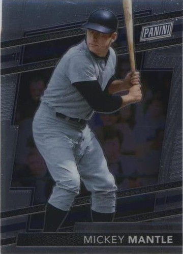 2024 Panini National Convention VIP Gold Pack Baseball Trading Cards