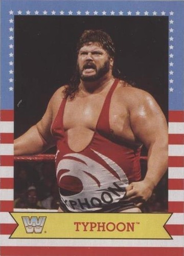 2017 Topps Heritage WWE - Typhoon #30