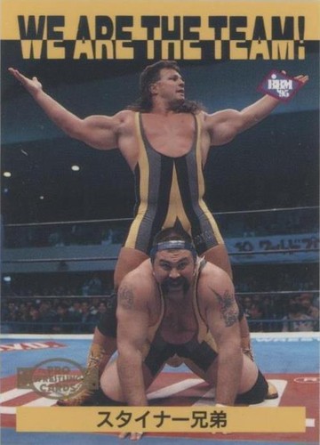 1995 BBM Pro Wrestling - Steiner Brothers #188