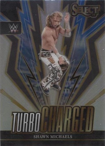 2024 Panini Select WWE - Shawn Michaels #22