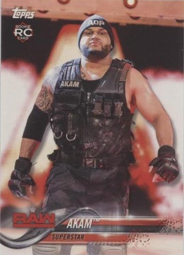 2018 Topps WWE Then Now Forever - Akam #103