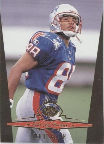 1996 Leaf Terry Glenn #10