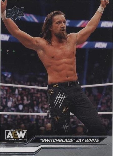 2024 Upper Deck AEW All Elite Wrestling - Jay White #41