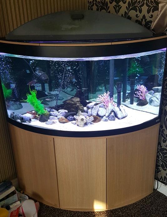 Fluval Venezia 350 Corner fish tank Nelson  Lancashire Gumtree