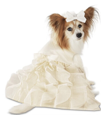 Bride DOG Costume New You & Me Small 13 -15  Wedding Dress & Veil Ivory Satin