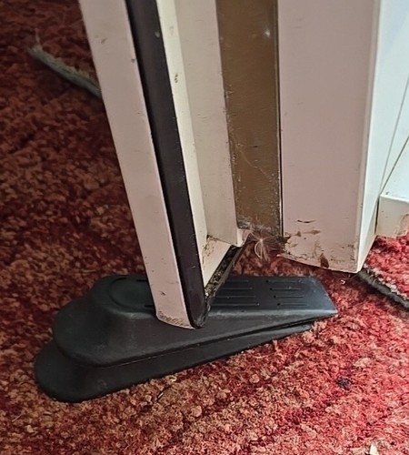 Fotos del artículo de un comprador verificado