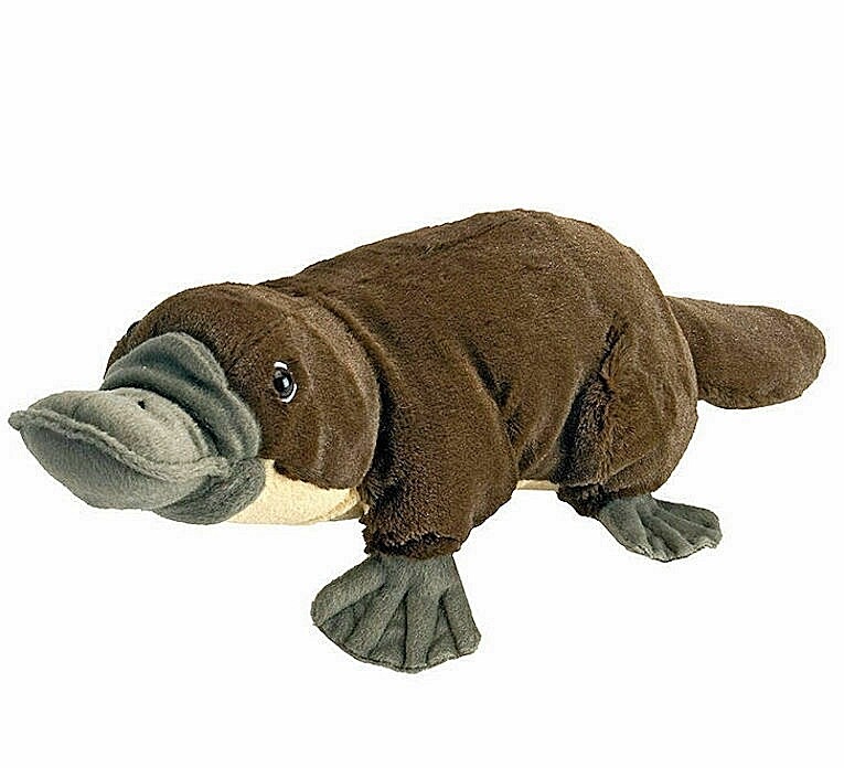 ~❤️~Wild Republic 8" 20cm PLATYPUS Plush Animal Soft Toy Mini