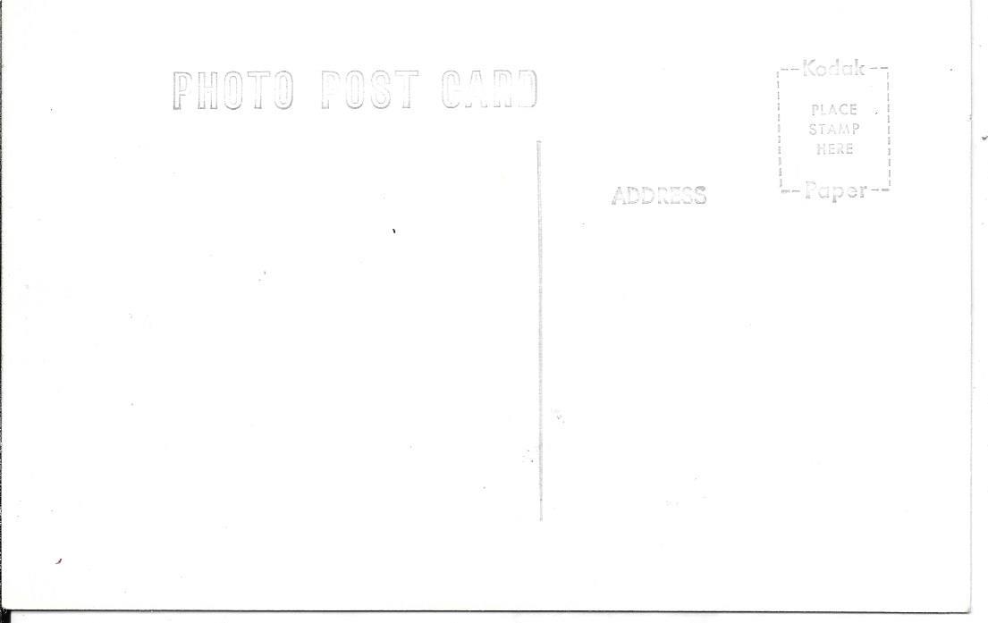 THE RARE TRUMPETER SWAN, MALHEUR NATIONAL WILDLIFE REFUGE, OREGON RPPC