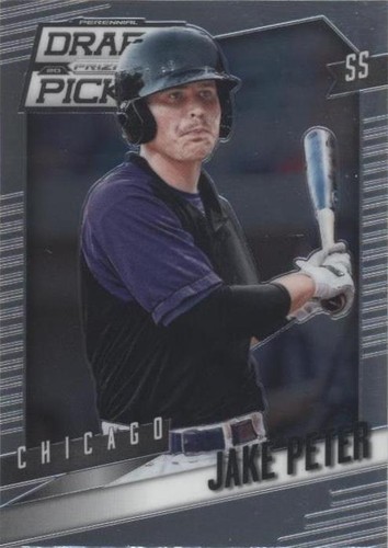 2014 Panini Prizm Perennial Draft Picks - Jake Peter #27