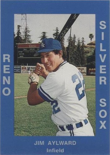 1988 Cal League California League - Jim Aylward #280