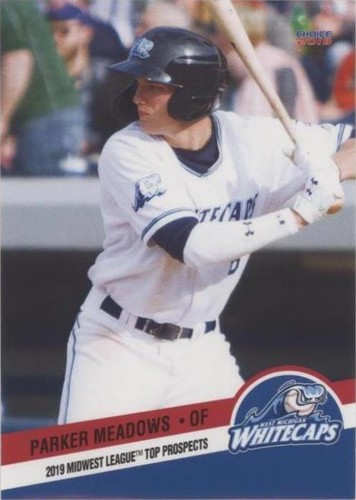 2019 Choice Midwest League Top Prospects - Parker Meadows #30