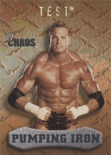 2004 Fleer WWE Chaos - Test #90