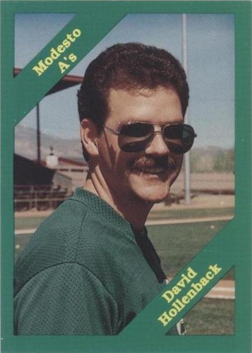 1989 Cal League California League - David Hollenback #290