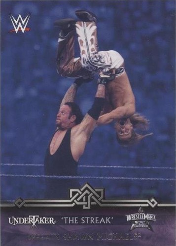 2014 Topps WWE Road to Wrestlemania - Shawn Michaels Undertaker #17-0