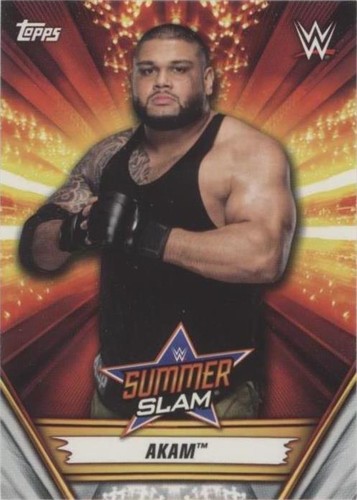 2019 Topps WWE Summerslam - Akam #1