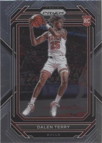 2022-23 Panini Prizm - Dalen Terry #240