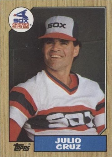 1987 Topps - Julio Cruz #790