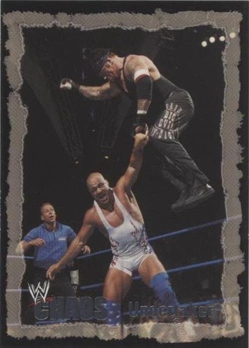2004 Fleer WWE Chaos - Undertaker #50