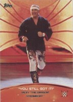 2015 Topps WWE - Ricky "The Dragon" Steamboat #1