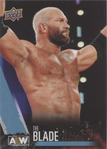 2021 Upper Deck AEW All Elite Wrestling - The Blade #17