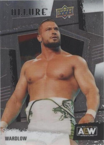 スポーツ選手 All Elite Wrestling AEW Allure 24-aew-allure-box-blaster-