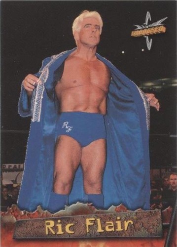 1999 Topps WCW Embossed - Ric Flair #14