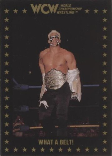 1991 Championship Marketing WCW - Sting #54