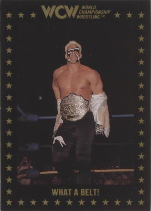 1991 Championship Marketing WCW - Sting #54