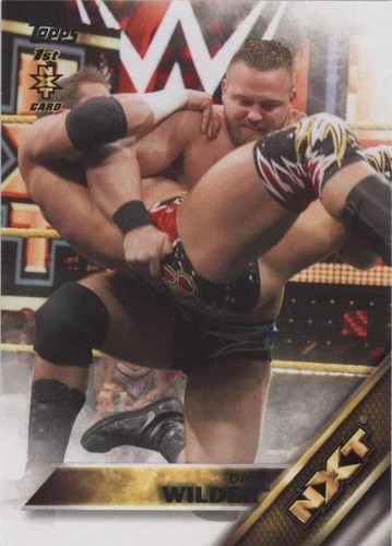 2016 Topps WWE - Dash Wilder #14