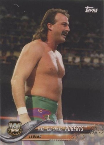 2018 Topps WWE Then Now Forever - Jake "The Snake" Roberts #193