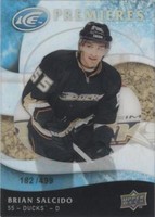 2009-10 Upper Deck Ice - Brian Salcido #143