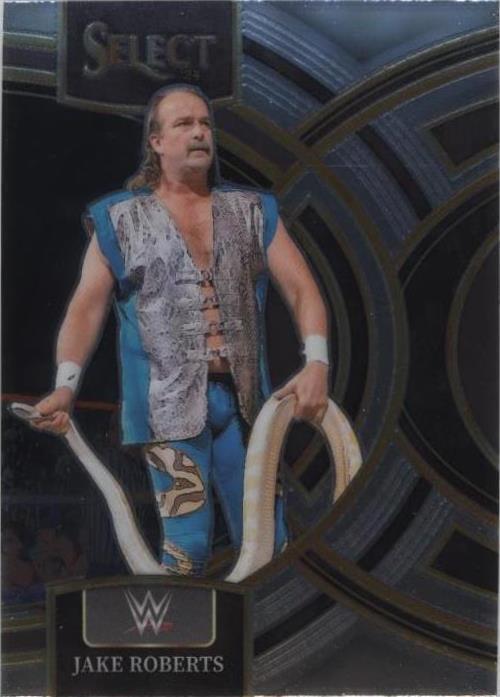 2024 Panini Select WWE - Jake "The Snake" Roberts #199