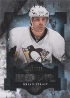 2011-12 Upper Deck Artifacts - Brian Strait #190