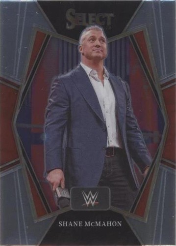 2022 Panini Select WWE - Shane McMahon #102