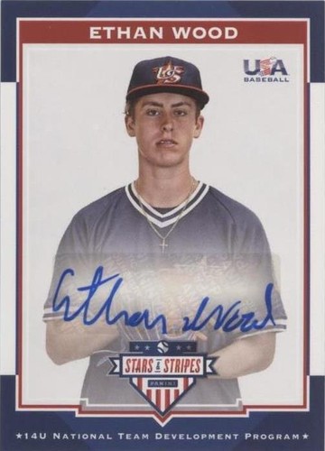 2017 Panini USA Baseball Stars & Stripes - Ethan Wood #47
