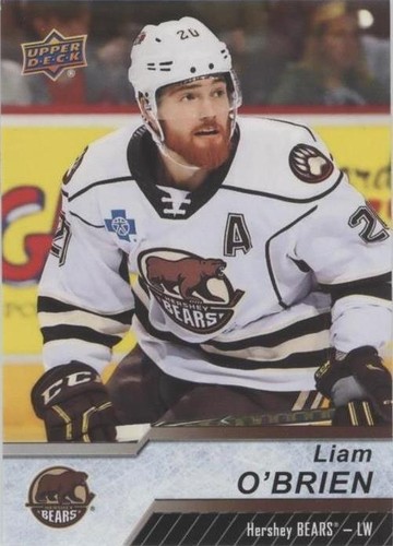 2018-19 Upper Deck AHL - Liam O'brien #61