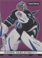2024-25 Upper Deck Synergy - Andrei Vasilevskiy #IM-41