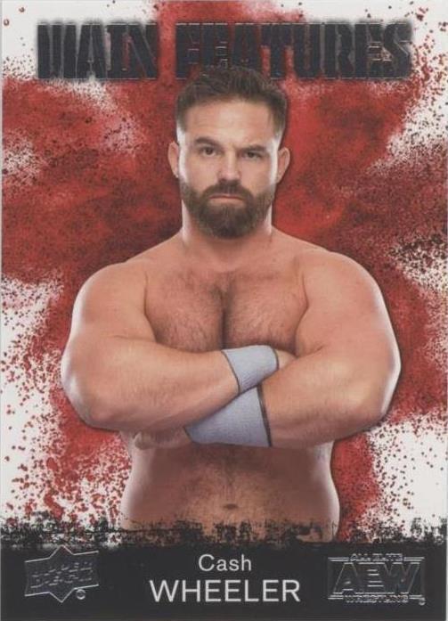 2021 Upper Deck AEW All Elite Wrestling - Dash Wilder #MF-16