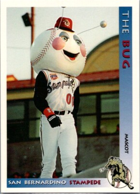 San Bernardino Stampede Dodgers Baseball (Pick Your Card)