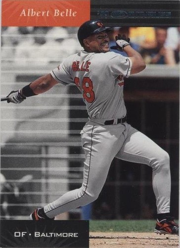 2001 Donruss - Albert Belle #10