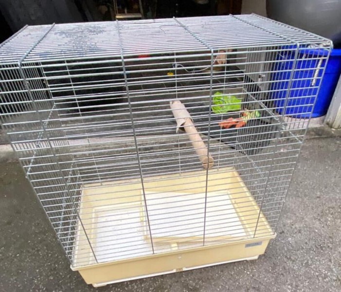 Parrot Cage for sale in UK 73 secondhand Parrot Cages