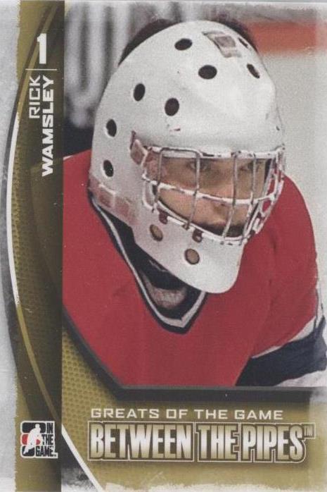 2013-14 In the Game Between the Pipes - Rick Wamsley #139