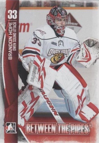 2013-14 In the Game Between the Pipes - Brandon Hope #39