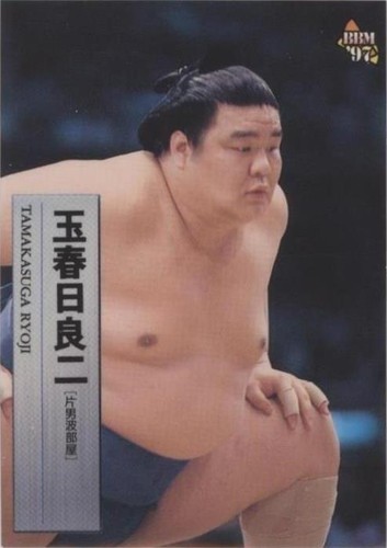 大相撲 (1954–1968) 124 Issues - 11 Volume Set Sumo Magazine