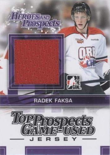 2013-14 In the Game Heroes and Prospects - Radek Faksa #TPM-07