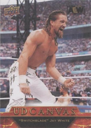 2024 Upper Deck AEW All Elite Wrestling - Jay White #C71