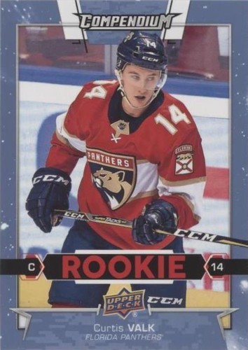 2017-18 Upper Deck Compendium - Curtis Valk #896