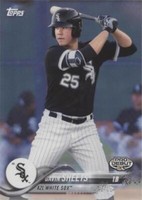 2018 Topps Pro Debut - Gavin Sheets #168