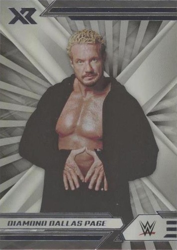 2022 Panini Chronicles WWE - Diamond Dallas Page #282