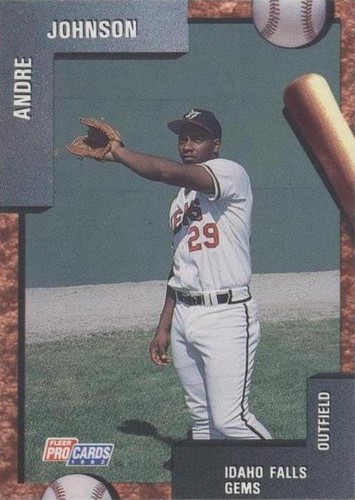 1992 Fleer ProCards Minor League - Andre Johnson #3527